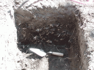 Glen Dornoch Archaeology - midden3