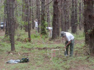 1578 Shovel Testing